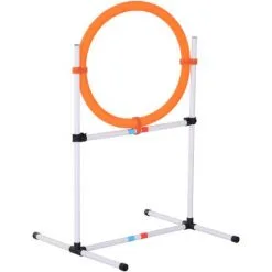 PawHut Agility Sport Pour Chiens Anneau D'agilité Et Obstacle 2 En 1 Avec Sac De Transport Plastique Blanc Orange - Orange