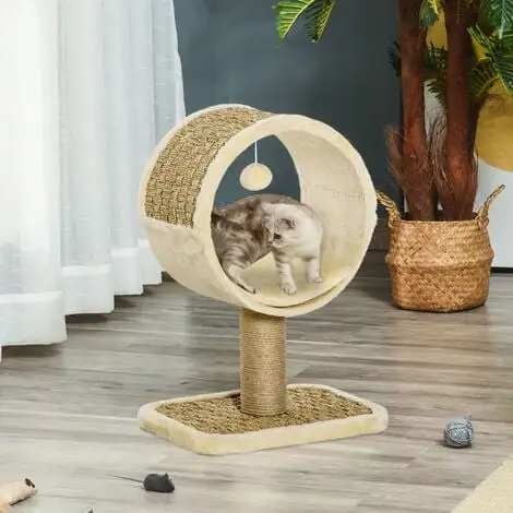 PawHut Arbre à Chat Rond Style Cosy Chic Griffoir Grattoirs Sisal Jeu Suspendu Souris Niche Avec Coussin Cordes D'algues Tressées Peluche Courte Beige 2 PawHut Arbre à Chat Rond Style Cosy Chic Griffoir Grattoirs Sisal Jeu Suspendu Souris Niche Avec Coussin Cordes D'algues Tressées Peluche Courte Beige – Image 2
