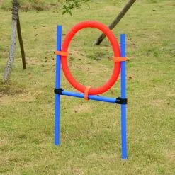 PawHut Agility Sport Pour Chiens équipement Complet Obstacles Et Entrainement 11 Pièces Avec Sac De Transport Acier Rouge Et Bleu - Bleu -PawHut Soldes Boutique 7213319 4